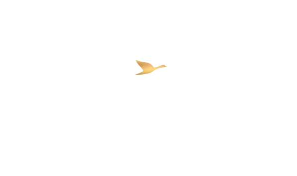 Accor Hotels